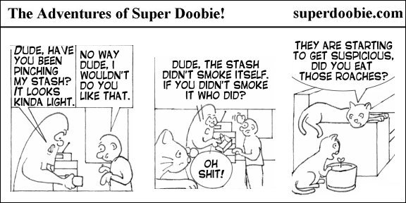 Super Doobie investigates a missing cannabis stash while two cats hide nearby and worry that the roaches will make them look suspicious.