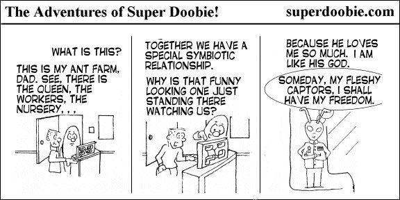Super Doobie explains an ant farm's queen, workers, and nursery while one ant watches the humans and dreams of freedom from its captors.