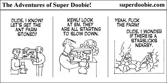 Super Doobie and a friend get their ant farm stoned, watch the ants slow down, and wonder whether a Starbucks is nearby.