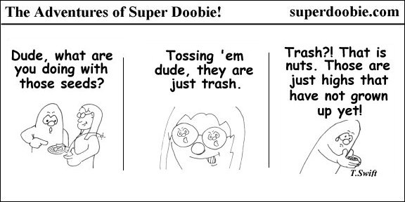 Super Doobie stops a friend from throwing away cannabis seeds, calling them highs that have not grown up yet.