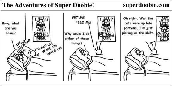 Super Doobie wakes to an alarm and a talking bong demanding attention, then assumes the cats were partying and he is picking up their shift.