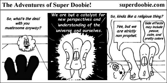 Three talking mushrooms describe themselves as catalysts for understanding the universe, then compare their role to a religion without a prophet.