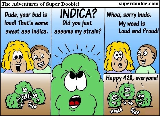 Cannabis buds argue after one assumes another is indica based on a loud smell, then celebrate being loud and proud on 4/20.